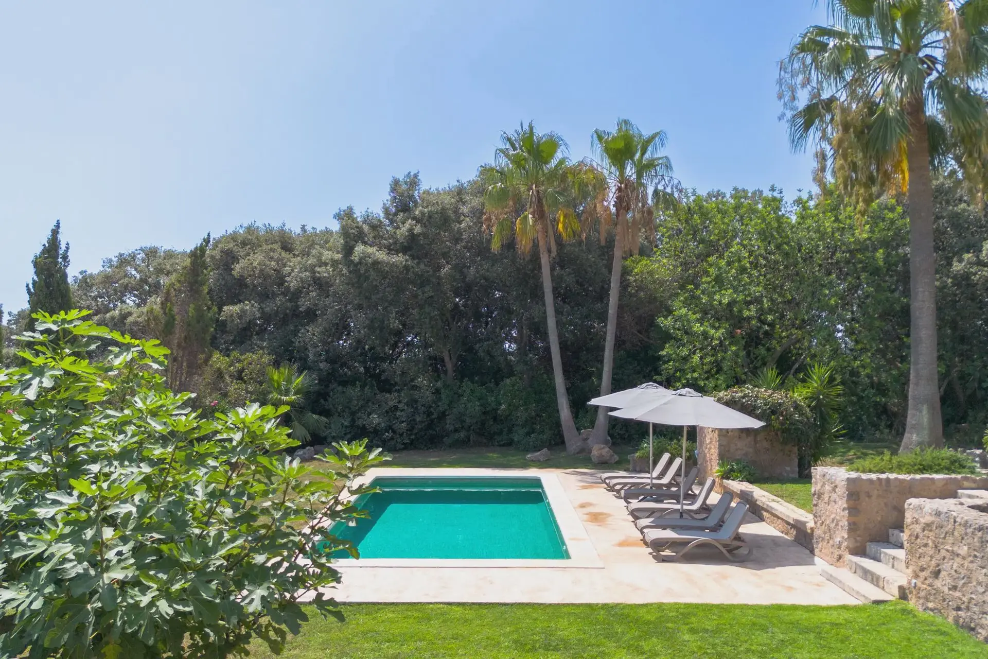 Finca Esteva: Highlights