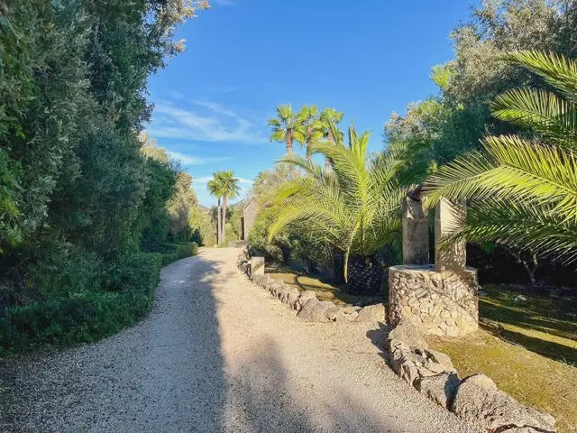 Finca El Palo