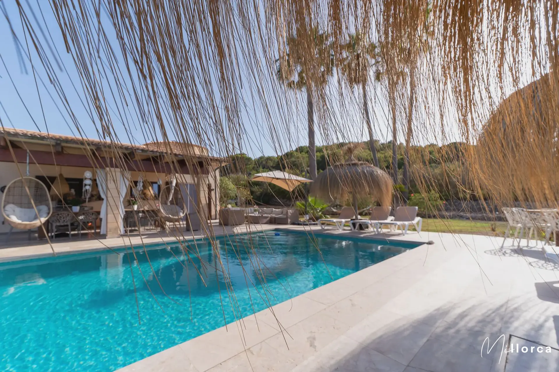 Finca Wellnessfinca: Highlights