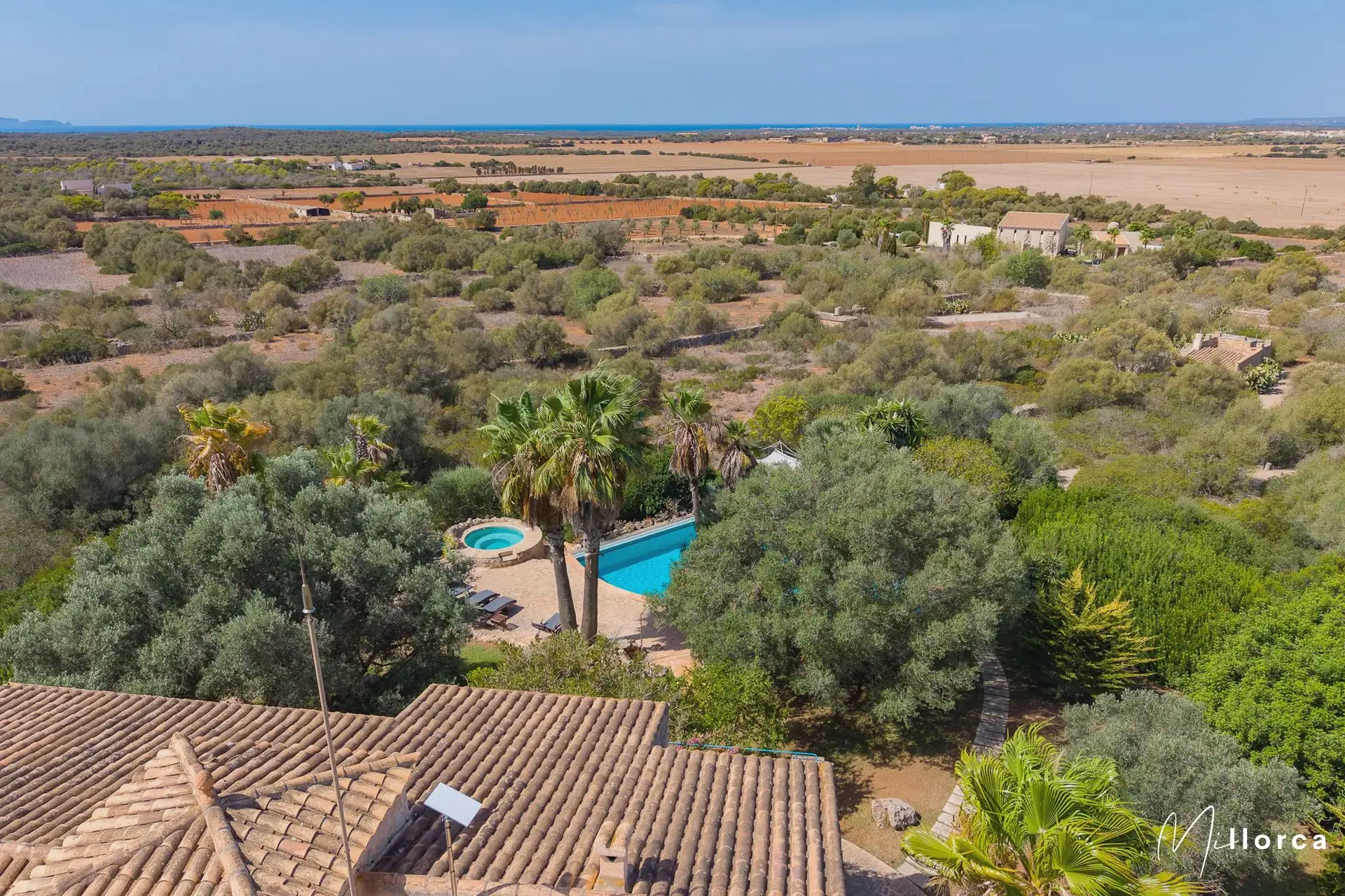Finca La Paz: Highlights