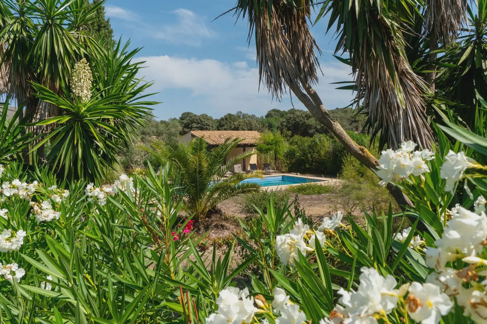 Finca Alzina: Highlights
