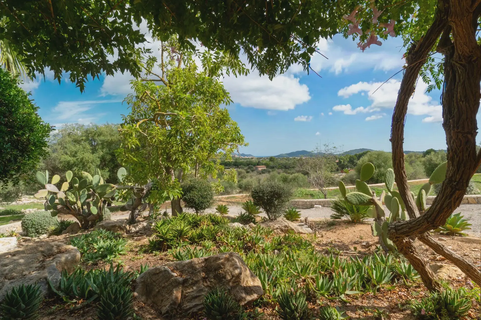 Finca Son Sureda: Highlights