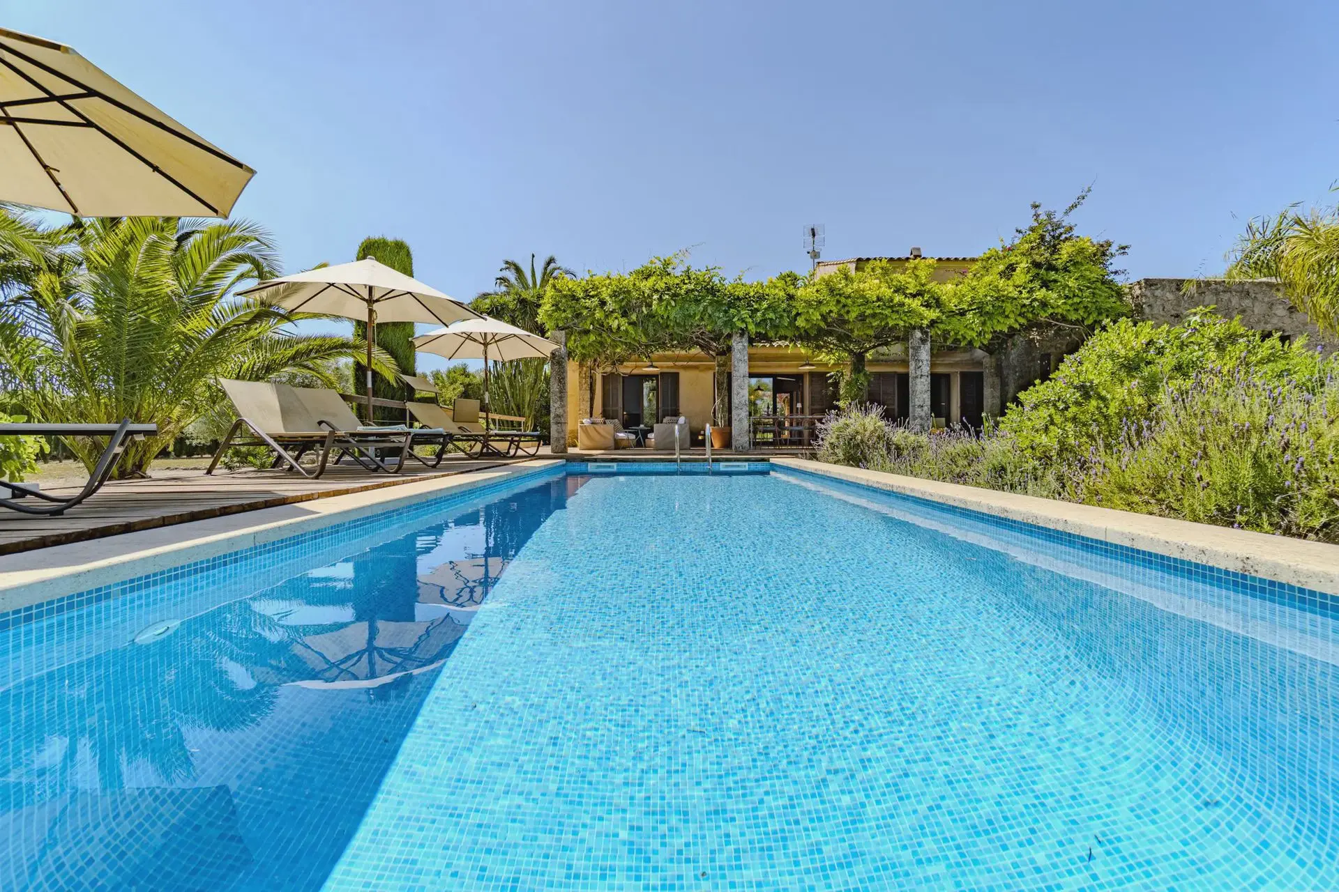 Finca Alma: Highlights